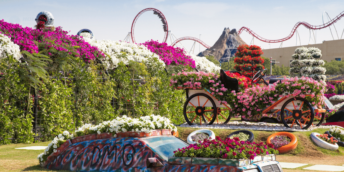 Miracle Garden Image